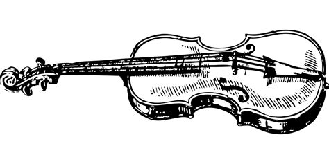 Violín Musical Instrumento Gráficos Vectoriales Gratis En Pixabay