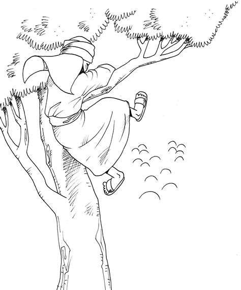 Click the jesus meets zacchaeus coloring pages to view printable version or color it online (compatible with ipad and android tablets). Zaqueo … | Zacchaeus, Sunday school coloring pages, Bible ...