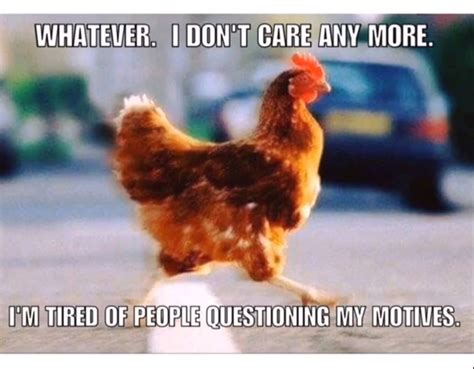 Pin By Jill Renae On Quotes Truths And Inspiration Chicken Jokes