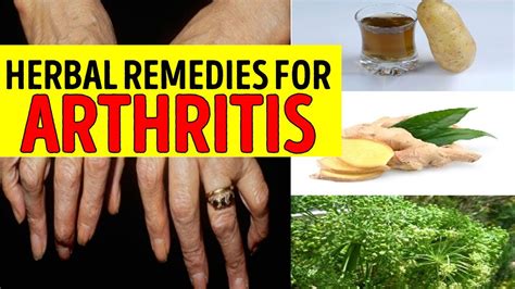 Arthritis Herbal Remedies For Arthritis Youtube