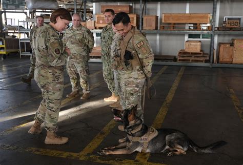 Dvids Images Cmsaf Familiarized With Jbphh Joint Operations Image