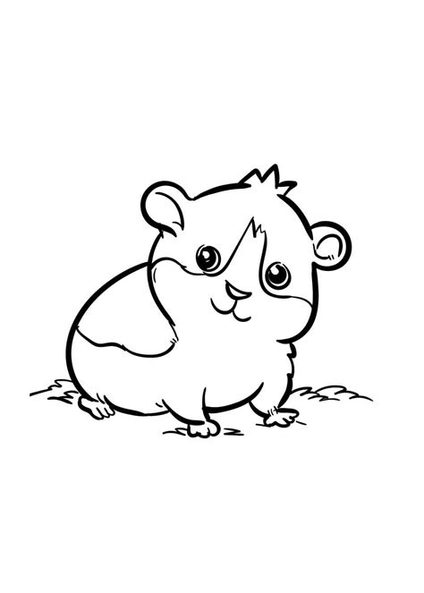 Desenhos De Hamsters Para Imprimir E Colorir Animais Para Colorir The