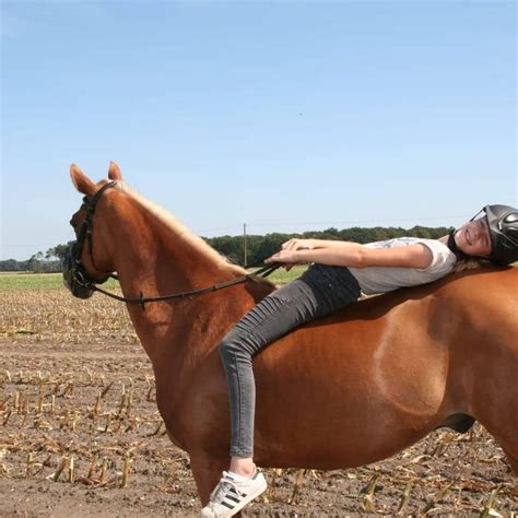 Zehn minuten vor dem ende fängt sich sommer den entscheidenden ball zum 1:2 durch christian clemens. Reiten ist die Kunst, ein Pferd zwischen sich und dem ...