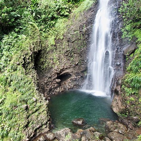 middleham falls one of the nicest and tallest waterfalls in dominica tiplr