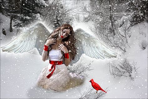 The Winter Angel Angel Pictures Angel Art Angel Images
