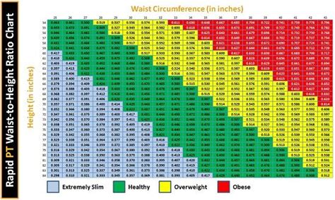 Mastering wrapping of flex items. waist to height ratio | Perfect body, Workout moves, Body