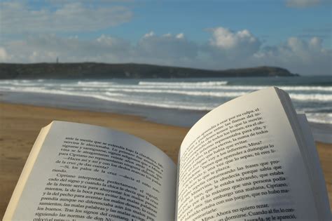 Reading A Book On The Beach Free Stock Photo Public Domain Pictures