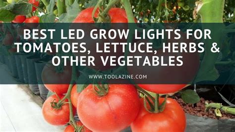 Maybe you would like to learn more about one of these? Best LED Grow Lights for Tomatoes, Lettuce, Herbs & other ...