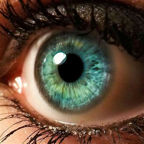 Aqua Green Eyes Pin By Imalilcoconut On Beautiful Aqua Eyes