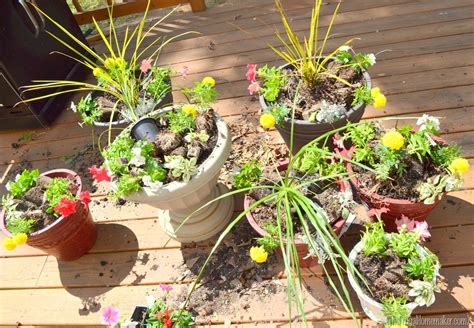 Check spelling or type a new query. Color-filled flower pots {Sprucing up the Outdoors for ...