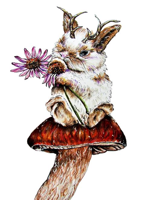 5x7 Baby Jackalope Mushroom Art Print Jackalope Art Cryptid Etsy España