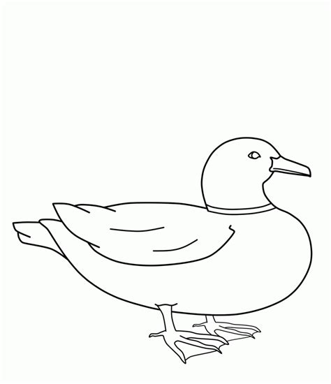 Duck coloring page from ducks category. Free Printable Duck Coloring Pages For Kids