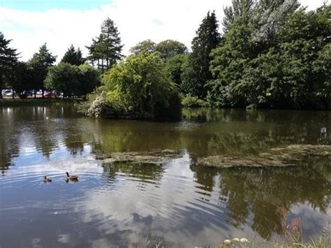 The Pond At Craigtoun Park Picture Of Craigtoun Country Park St Andrews Tripadvisor