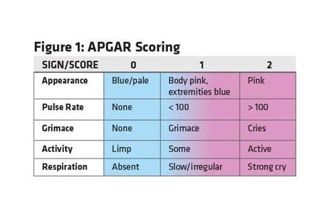 Develop Your Version Of The Apgar Score Apgar Score Nursing Math Photos