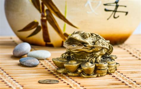 Conoce 5 Consejos Rápidos Del Feng Shui Para Invitar La Abundancia A Tu Hogar La Opinión