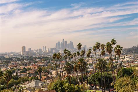Los Angeles Skyline At Sunset With Palm Trees In The