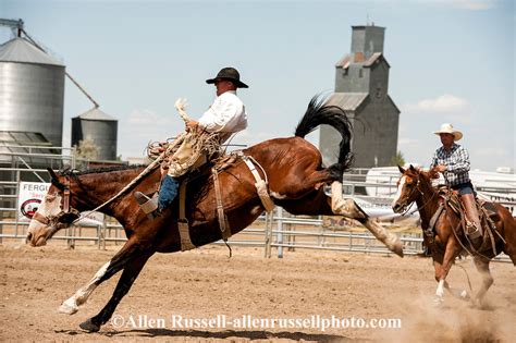 Ranch Bronc Riding At Will James Roundup In Hardin Montana Ranch Rodeo