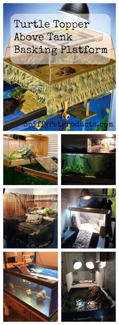 Pet Turtle Above Tank Turtle Topper And Basking Platform Ideas To