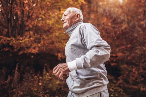 Senior Runner In Nature Elderly Sporty Man Running In Forest Du Room