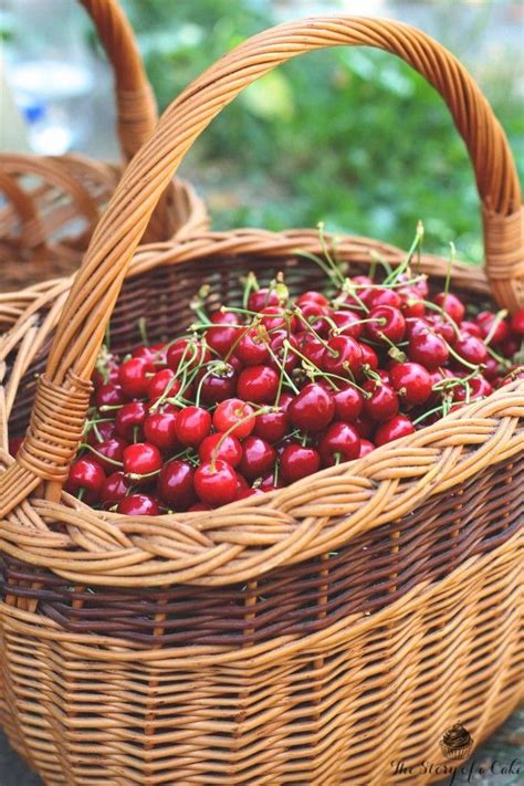 Maybe you would like to learn more about one of these? Пин на доске Using Baskets