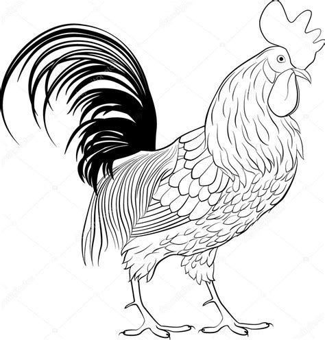 Simple Rooster Drawing At Explore Collection Of