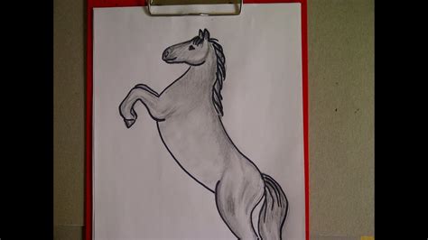 Weitere ideen zu malen für anfänger, wie man blumen malt, malerei. Zeichnen Lernen Für Anfänger. Pferd Malen. Pferdeportrait ...