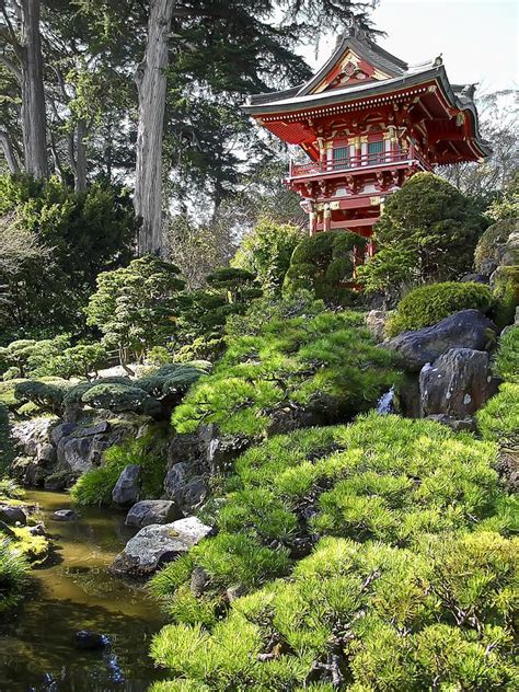 The tea garden in 1904. Pagoda | Japanese garden, Tea garden, Garden waterfall