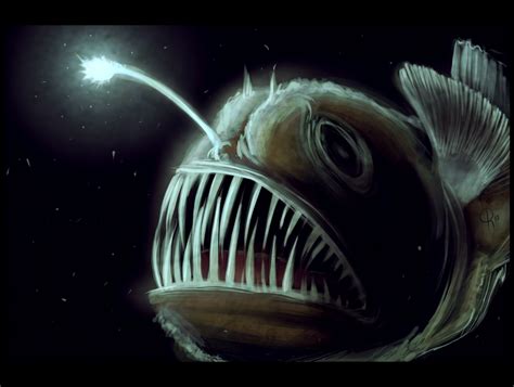 Angler Fish Or Lantern Fish Very Much Like Described In First Peter 5
