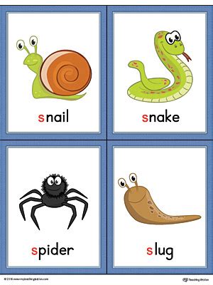 Find the perfect letter e black & white image. Letter S Words and Pictures Printable Cards: Snail, Snake, Spider, Slug ...