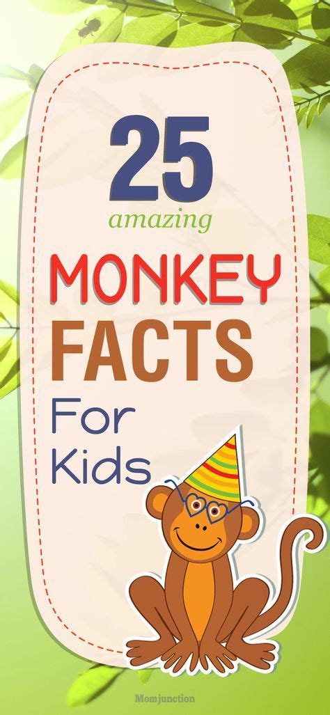 25 Fun Facts And Information About Monkey For Kids Con Imágenes