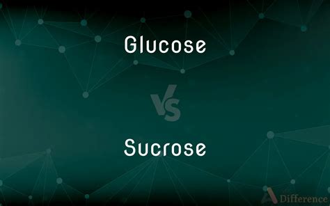 Glucose Vs Sucrose — Whats The Difference