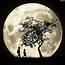 Full Moon Digital Art By Phil Perkins