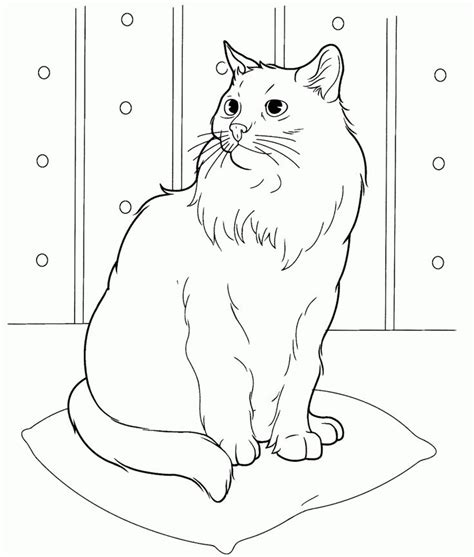 Https://tommynaija.com/coloring Page/adult Coloring Pages Cats Free