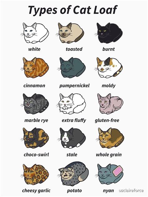 The Types Of Cat Loaf Classic T Shirt By Usclaireforce Cute Animal