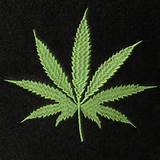 Photos of Weed Pot Marijuana