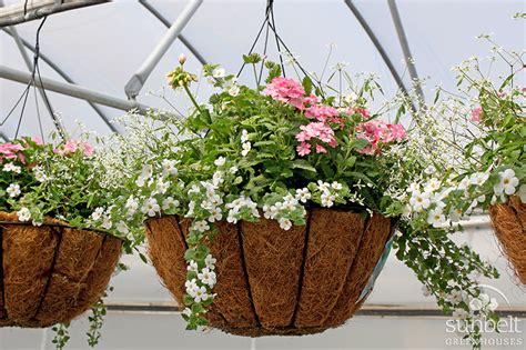Homestead gardens grows hundreds of gorgeous hanging basket arrangements! Spring Hanging Basket Sale - Atlanta Girls' School
