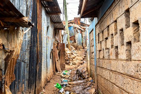 Kibera Slum In Nairobi Kibera Is The Biggest Slum In Africa Slums In Nairobi Kenya Stock