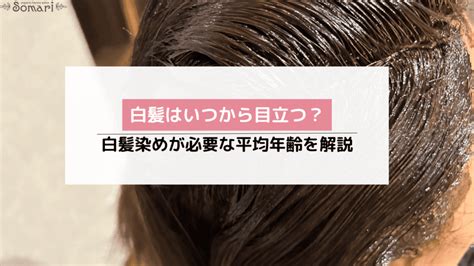 初めての白髪染めはいつから？白髪染め始めるタイミング何歳からか平均年齢を美容師解説【女性・男性別】 白髪染め専門美容室ソマリ