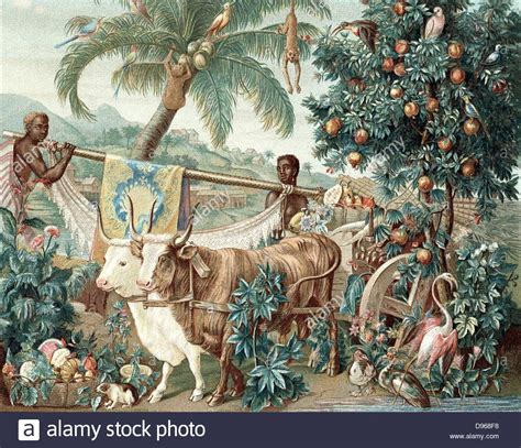 Wealth Of The Indies. 17th Century Design For Gobelin Tapestry Stock