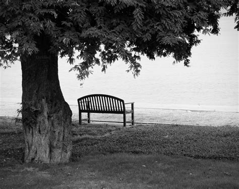 Lonely Park Bench In Black And White ~ Nature Photos On