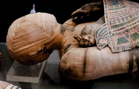 secrets of ancient egyptian mummification materials revealed