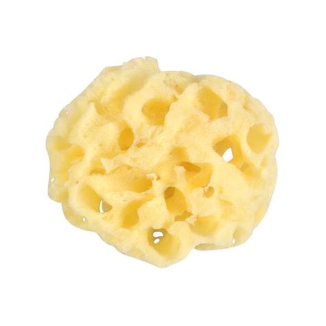Buy 1pc Durable Natural Safe Anti Fungal Honeycomb Sea Sponge Suitable