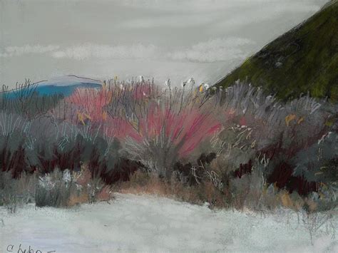 Arizona Sage Painting By Craig Nelson Pixels