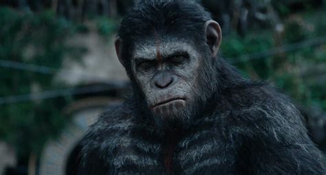 Andy serkis, gary oldman, keri russell and others. Download Dawn Of The Planet Of The Apes (2014) 720p Kat ...