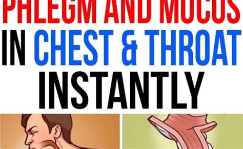 Causes Of Constant Phlegm And Mucus In Your Throat Clearing Congestion