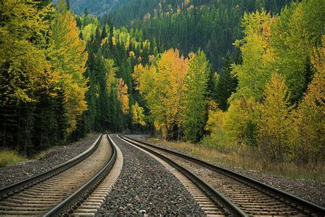 Railroad Tracks Through Autumn Colored Photograph By Keith Ladzinski