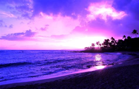 purple sunset hawaii beach wallpapers 4k hd purple sunset hawaii beach backgrounds on