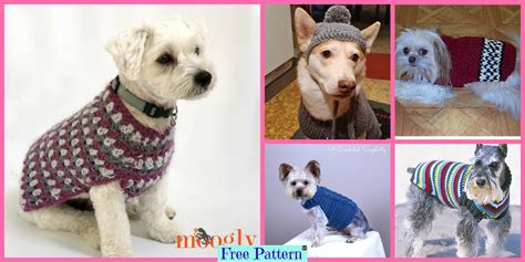 10 Cozy Crocheted Dog Sweater Free Patterns Diy 4 Ever