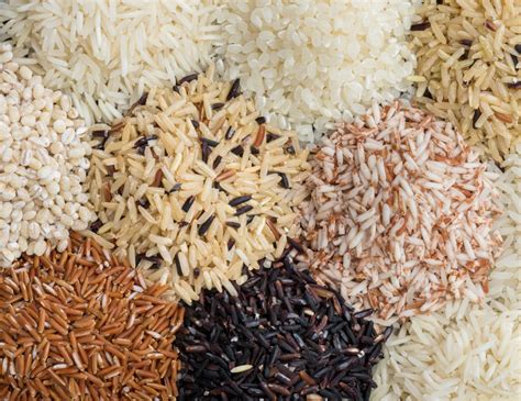 Rice Varieties Which One To Choose Sparkling Life