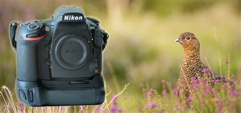 Nikon D810 Review What You Need To Know Nature Ttl